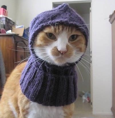 Причина, по которой я не люблю холода: патологическая непереносимость шапок. Причина, по которой я не люблю холода: патологическая непереносимость шапок.