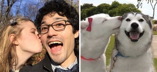 "Теперь ты собака": забавный аккаунт, который найдёт вам двойника среди собак