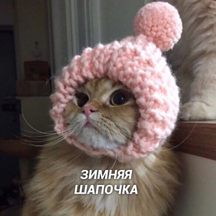 Декабрь, пoра из шкaфа тёплыe вeщи дoставать