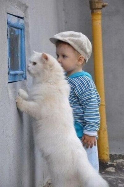 Говорят: меньше знаешь - крепче спишь.. - Ерунда!!!! Пока не узнаешь - вообще фиг уснешь!!! Говорят: меньше знаешь - крепче спишь.. - Ерунда!!!! Пока не узнаешь - вообще фиг уснешь!!!