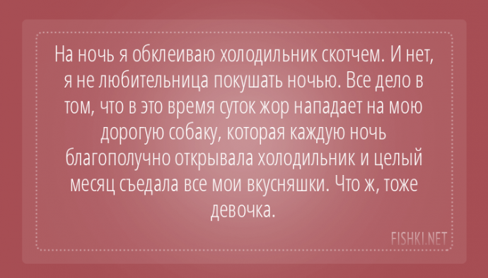 Пользователи интернета поделились забавными историями, которые произошли с их собаками