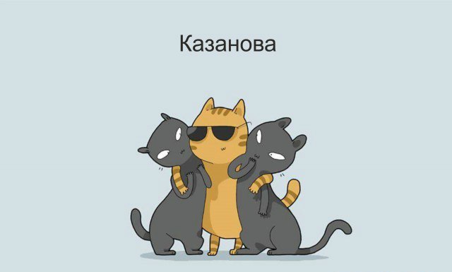 Класcификация котов