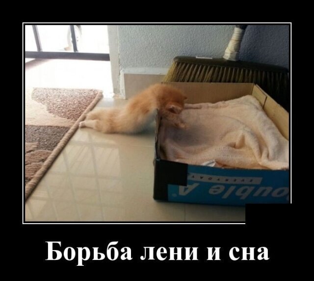 ЮМОР  В ОТКРЫТКАХ  - Страница 3 4531a35b