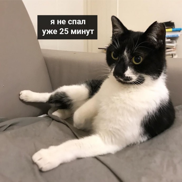 На приёме доктора Котовского