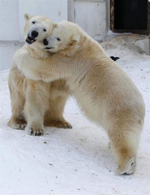 Немного любви вам в ленту и приятных эмоций!