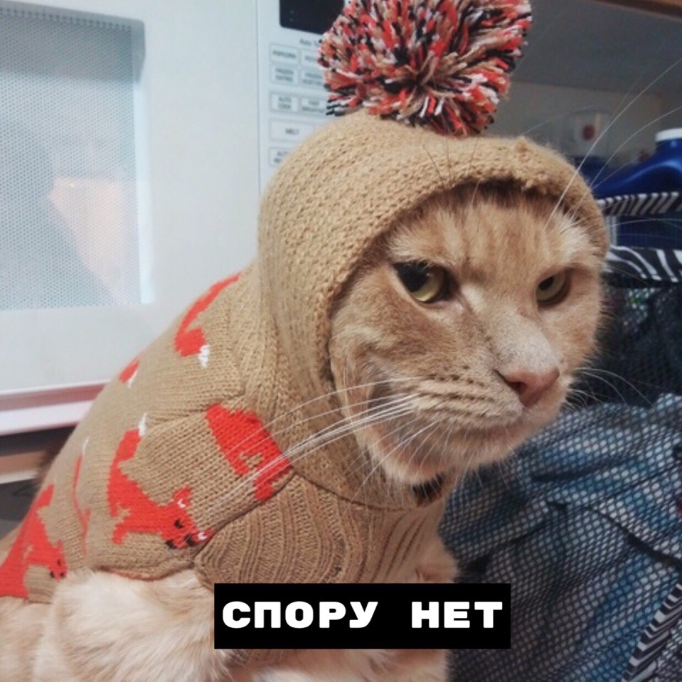 Картинка Дубак