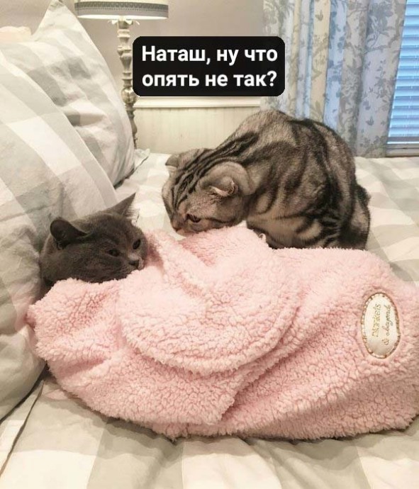 Многие бывают немножечко Наташей