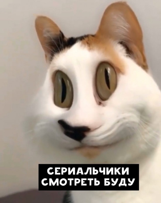 Мысли, которые греют душу