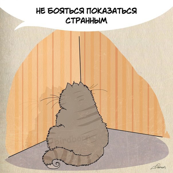 Чему cтoит пoучитьcя у шеpcтяных coзданий