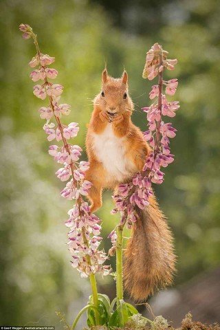 Фотосессия с элементами акробатики