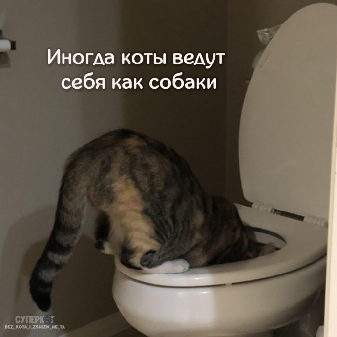 Несколько фотографии, которые поймет каждый