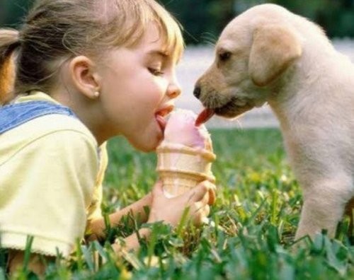 Дети и собаки — наверное, самые дружные дуэты, которые только можно себе представить!