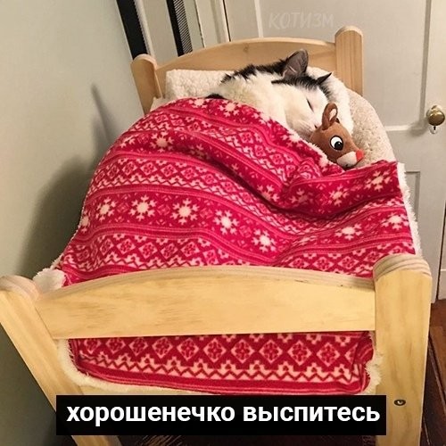 Полезные советы