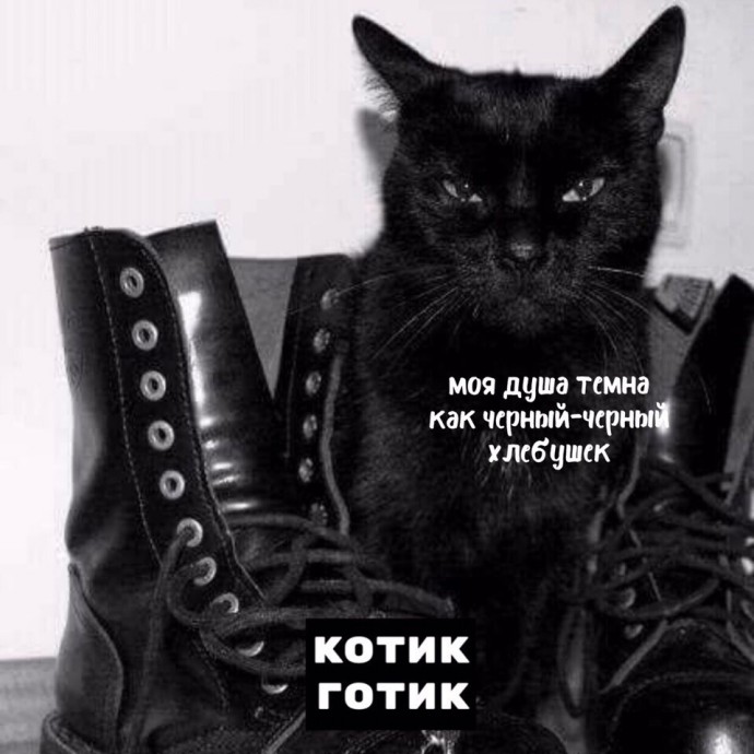 Порция тотемных котов