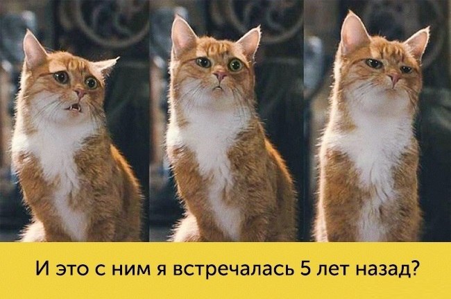 Мимика, которой можно только позавидовать