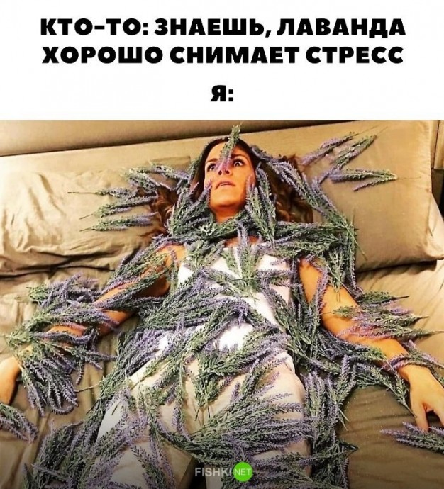 Мамы поймут