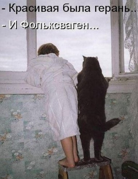 Говорят: меньше знаешь - крепче спишь.. - Ерунда!!!! Пока не узнаешь - вообще фиг уснешь!!! Говорят: меньше знаешь - крепче спишь.. - Ерунда!!!! Пока не узнаешь - вообще фиг уснешь!!!