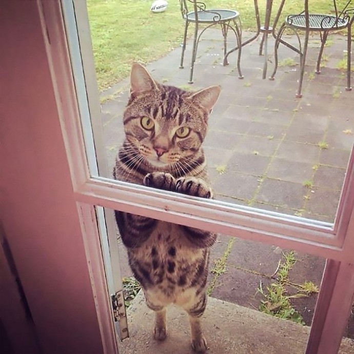 Открывайте, опять без меня едите?!