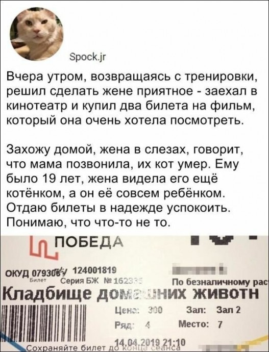 Злободневные комментарии обо всем на свете