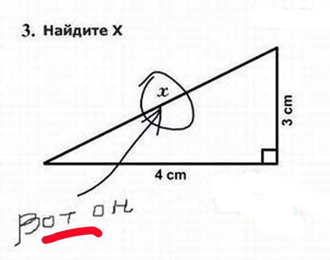 «Школьные» злоключения