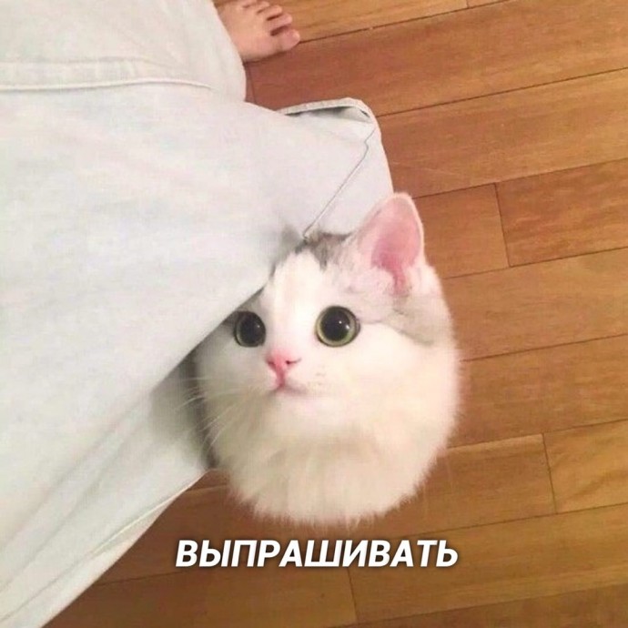 Это те 8 дел, которые я лучше всего делаю и у меня получается ИДЕАЛЬНО! Это те 8 дел, которые я лучше всего делаю и у меня получается ИДЕАЛЬНО!