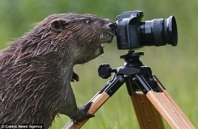 Фотографы нового поколения