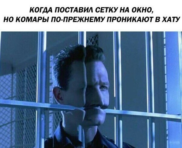 Вот и лето пришло