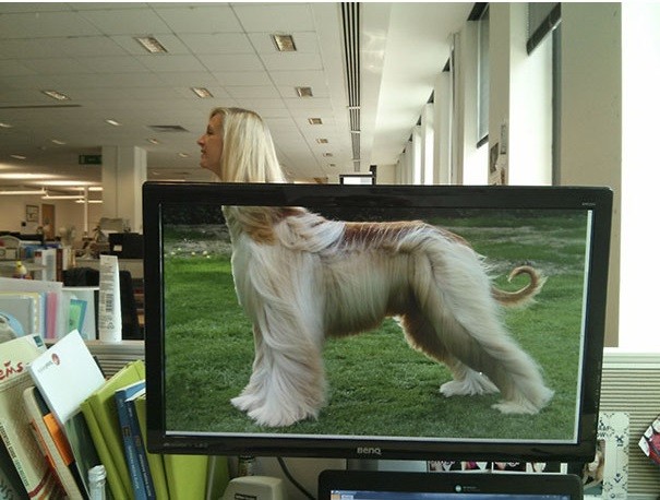 Забавные фото, которые прекрасно иллюстрируют офисную жизнь