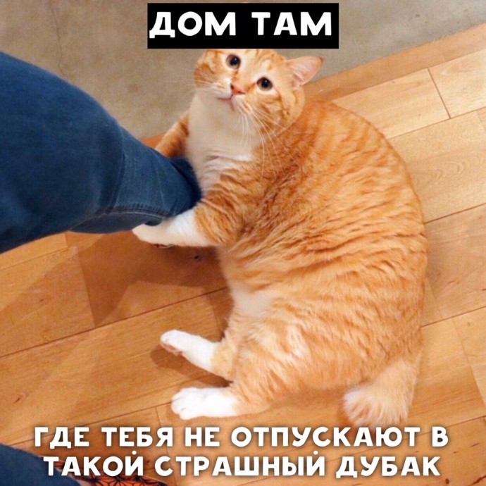 О доме