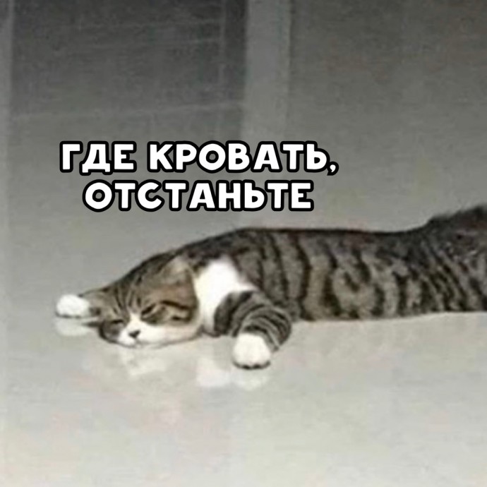 Расписание на день: