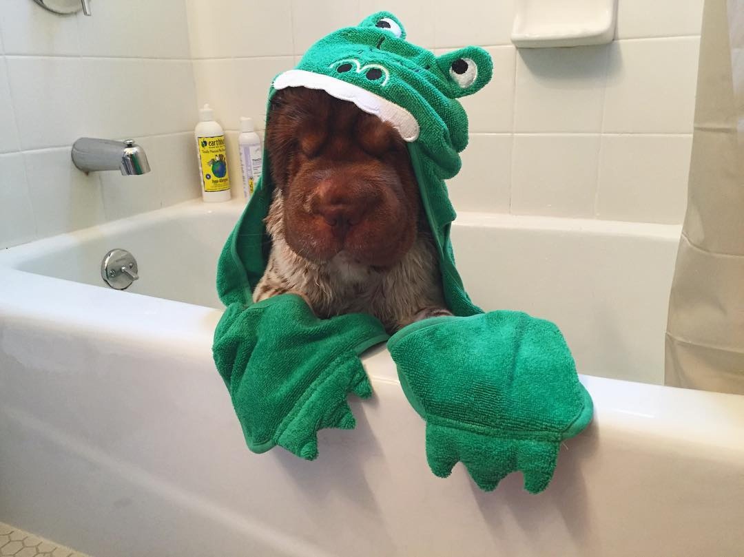 Медвеженок