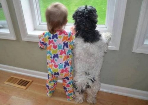 Дети и собаки — наверное, самые дружные дуэты, которые только можно себе представить!