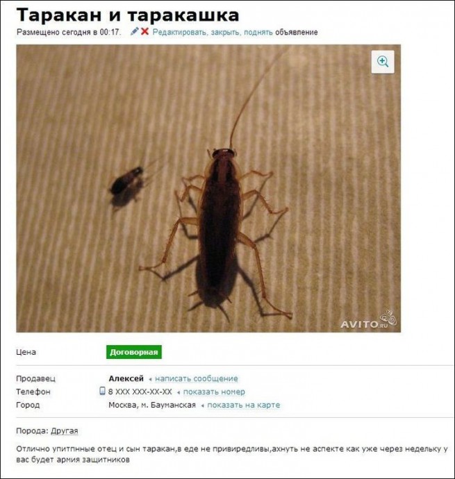 Народный креатив