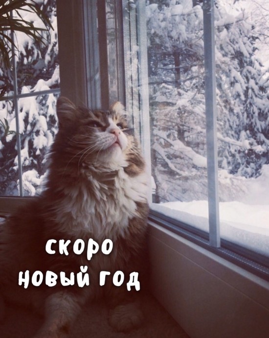 Уже скоро