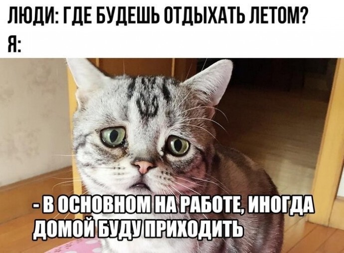 Вот и лето пришло