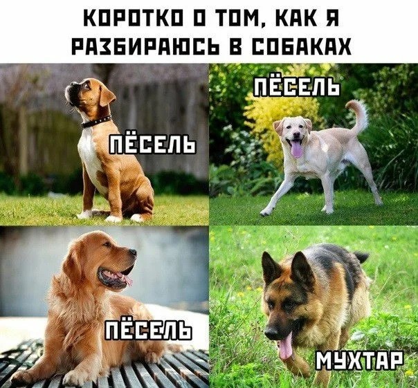 Да будет смех