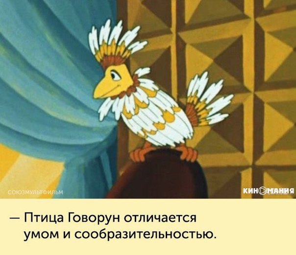 Лучшие цитаты