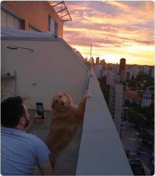 А потом говоришь своему другу: "А теперь меня сфоткай"