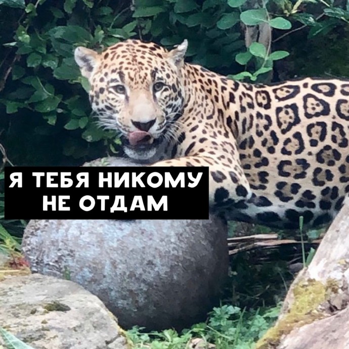 Когда нашёл свою прелесть