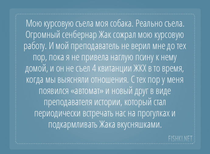 Пользователи интернета поделились забавными историями, которые произошли с их собаками Пользователи интернета поделились забавными историями, которые произошли с их собаками