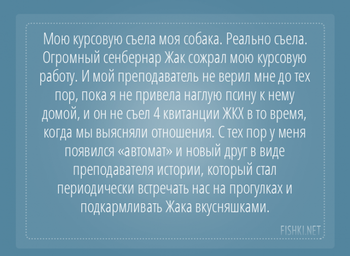 Пользователи интернета поделились забавными историями, которые произошли с их собаками