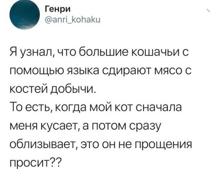 Причины, по которым котов лучше не злить