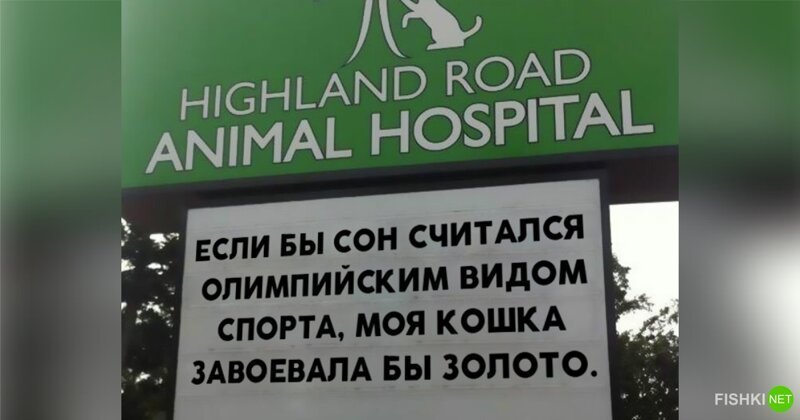 Смешные вывески ветеринарных клиник 0 Смешные вывески ветеринарных клиник 0