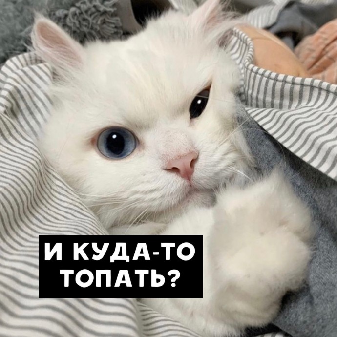 Я тоже хочу себе такое королевство!