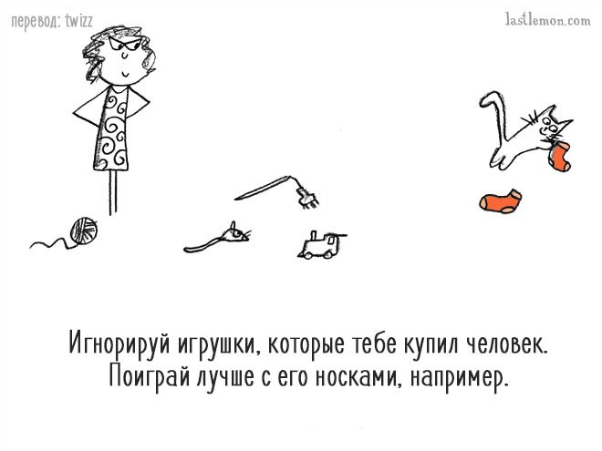 Уморительные советы, которые расскажут вам, как стать продвинутым котом Уморительные советы, которые расскажут вам, как стать продвинутым котом