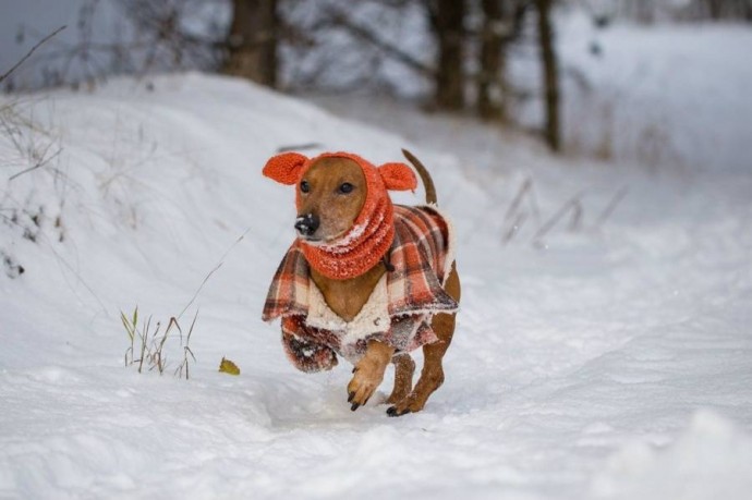 Утепляемся!