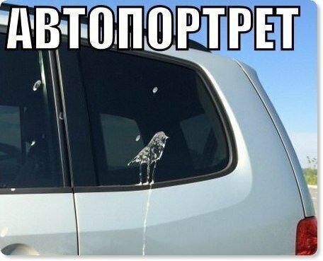 Подборка автоприколов