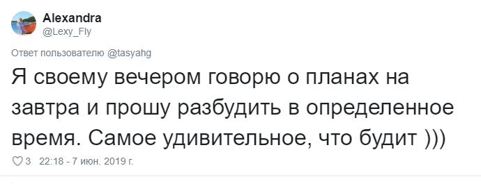 Что говорят своим питомцам перед уходом из дома