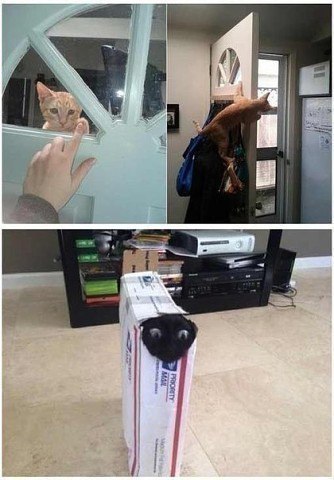 Безвыходных ситуаций не бывает