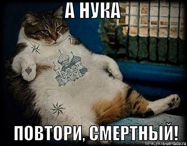 Котэ на случай очень важных переговоров.